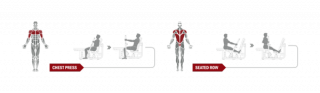 Жим от груди/Гребная тяга Spirit Fitness DWS101-U2